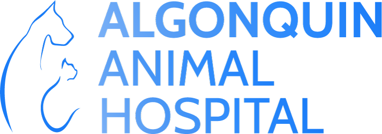 Algonquin Animal Hospital logo